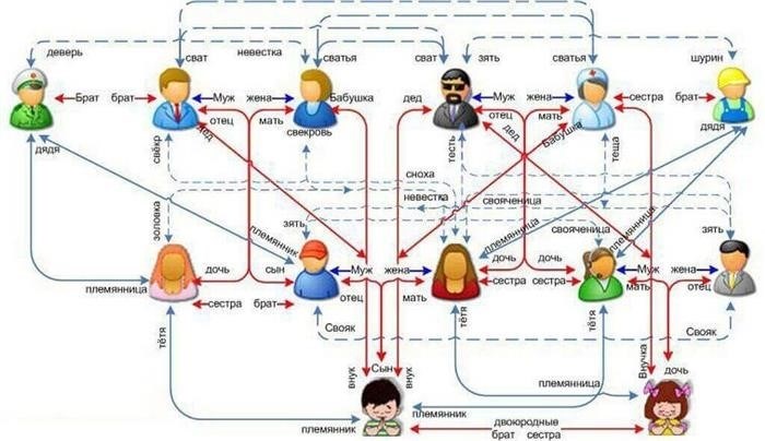картина кровных уз связей, которая показывает взаимосвязи между людьми