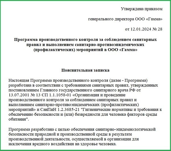 Как разработать программу контроля производства на 2025 год?