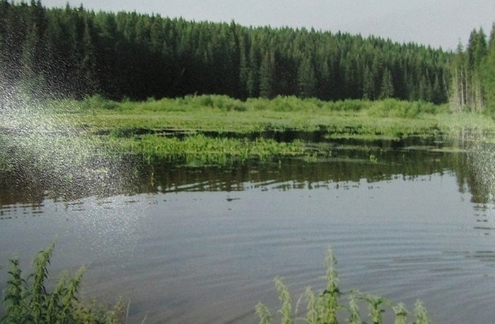 Небольшой водоем